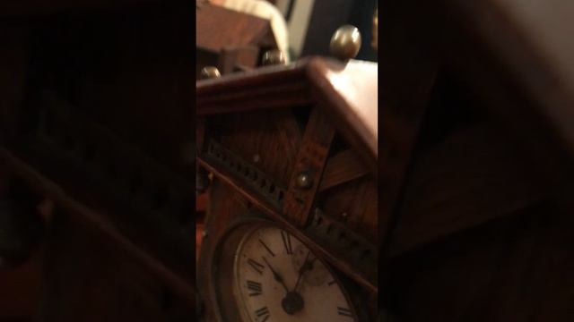 IMG 8007 смотреть онлайн