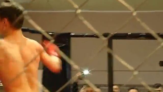 в Харькове прошел отборочный турнир по MIX FIGHT смотреть онлайн