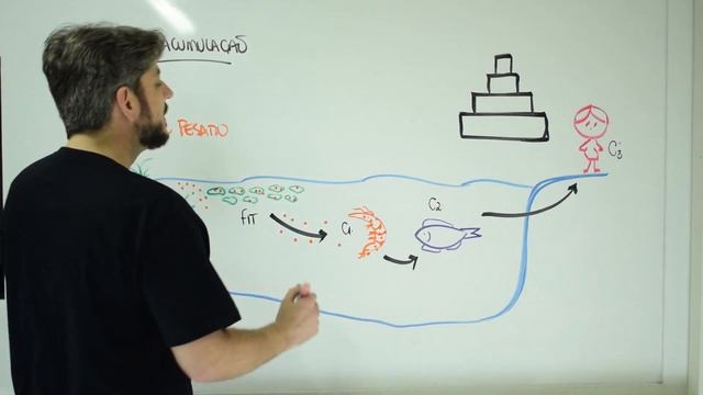 Biologia - Bioacumulação смотреть онлайн