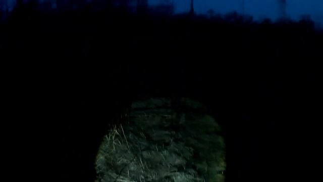 Охота на вальдшнепа 7 день! смотреть онлайн