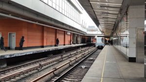 Кунцевская.Арбатско-Покровской и Филёвской линии. Обзор станции Кунцевская