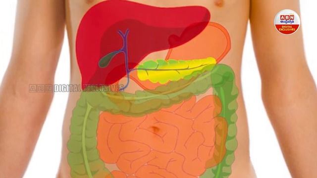 Weight Loss Problems : బరువు తగ్గాలని చూస్తున్న వారికీ తీవ్ర హెచ్చరిక | ABN Digital Exclusives смотреть онлайн