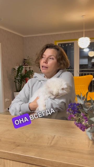 Обзор на кошку по имена Вата. Кошке 17 лет! #кошка #белаякошка #пушистики смотреть онлайн