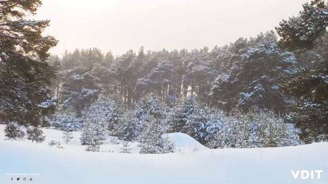 Заметки из прошлого - Прости смотреть онлайн