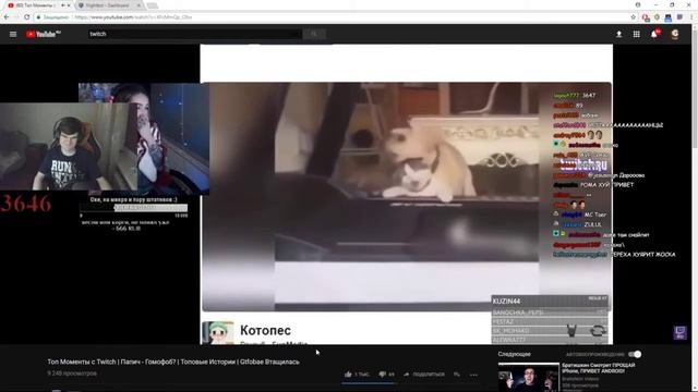 Братишкин Смотрит Видосы №19 смотреть онлайн