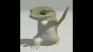 ЯЩЕРКА ФЛЕКСИТ ПОД РАММШТЕЙН ДУ ДУ ХАСТ ДУ ХАСТ МИЧ ОЙ ЧО ТАМ ЗА ТЕКСТ АААААА