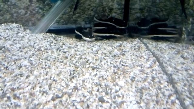 MOV 0419 смотреть онлайн