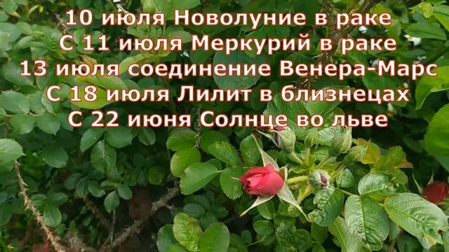 Весы гороскоп на Июль 2021 смотреть онлайн