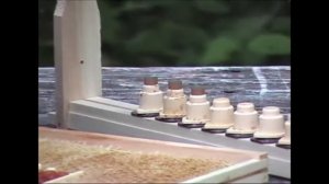 NICOT Видеоинструкция по выведению маток  система Никот