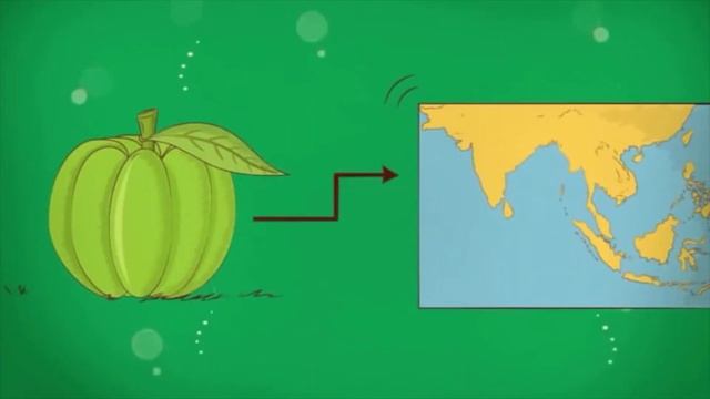 GP Garcinia Cambogia - Tamil смотреть онлайн