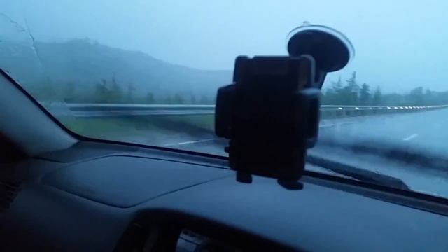 Медведь бежит по трассе mp4 смотреть онлайн