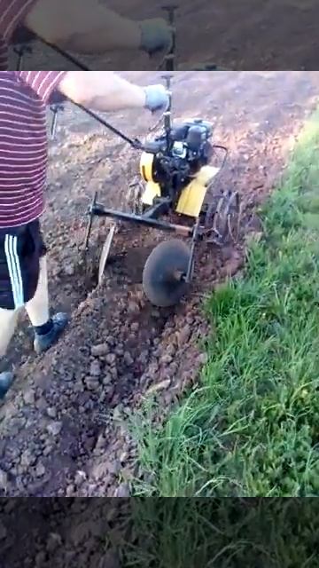 Нарезаем гребни для посадки картофеля мотоблоком Целина смотреть онлайн