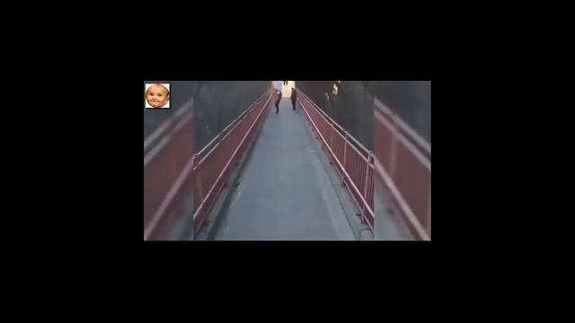 Подборка приколов за Неделю #34 смотреть онлайн