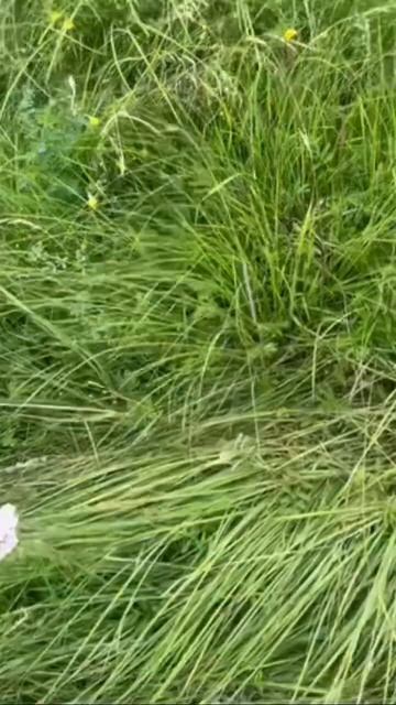 ЗЭТ- ваш помощник.Спасибо за видео нашему клиентуЗвони и покупай свой ЗЭТ!ПСМ всегда в комплекте смотреть онлайн