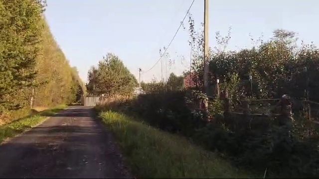 VID-20240925-WA0014 смотреть онлайн