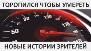 031 Торопился чтобы умереть ｜ Новые истории зрителей