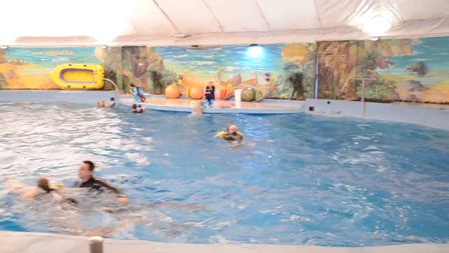 дельфинотерапия г. Сочи смотреть онлайн