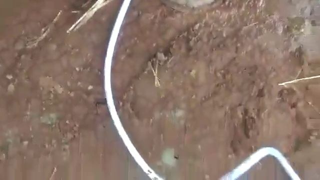 🐮 Safe Automated Cow Milking Machine смотреть онлайн