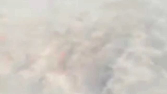 370 km aerial race of pigeons for Normashir Club смотреть онлайн