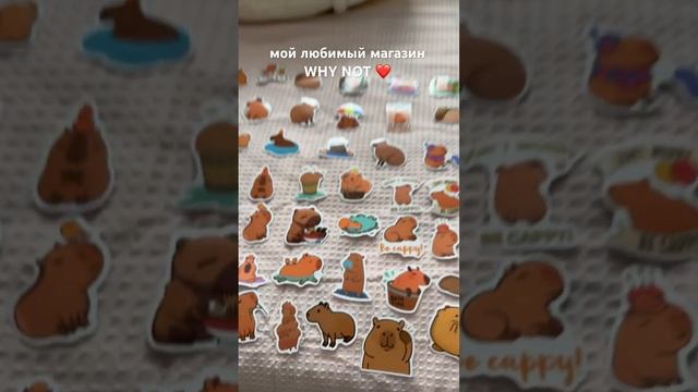 Распаковка-обзор из магазина Why Not🫶🌷#капибара #capybara #videoshort #unpacking #распаковка