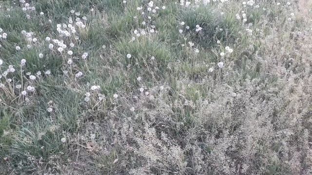 ПОХУДЕЛА НА 2-3 КГ И УДЕРЖАЛА ВЕС | ВСЕ НЕ ТАК, КАК ДОЛЖНО БЫТЬ | ПРИЧЕСКА | ЧТО Я НОШУ ВЕСНОЙ | смотреть онлайн