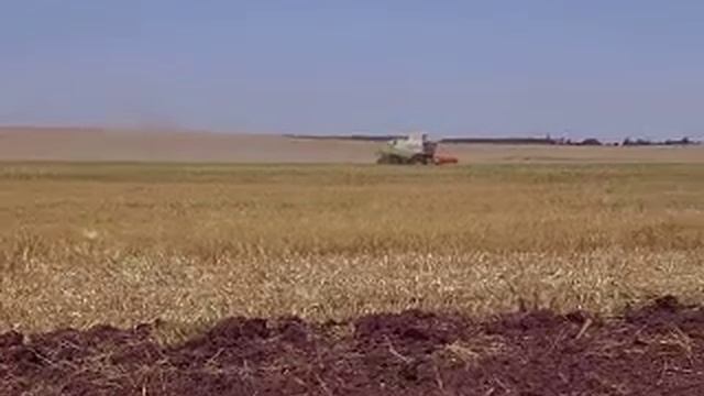Claas Lexion 560 & Claas Xerion 3800 TRAC VC & Kuhn Discover XL смотреть онлайн