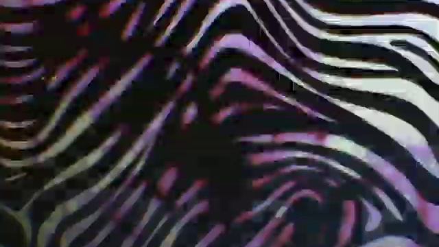 The awesome zebra print wallpaper!!! смотреть онлайн