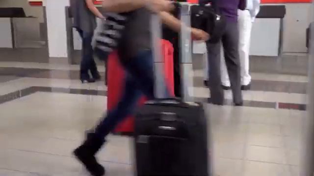 Samsonite F'Lite Spinner - bagageonline смотреть онлайн