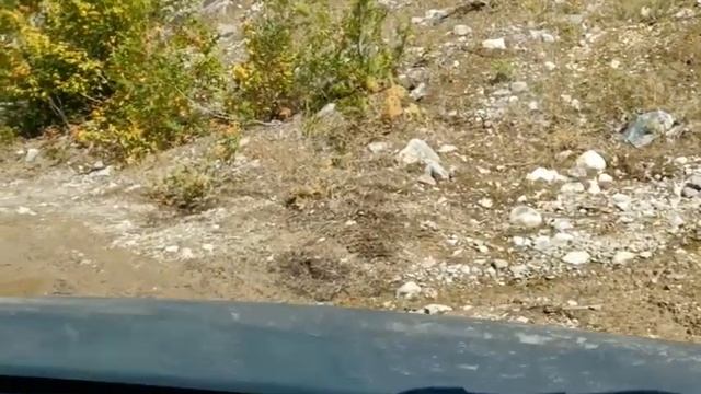 FrostBite - 9-04-2023 - Chertsey (Chicken Passes and Such) смотреть онлайн