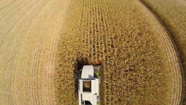 Maisdrusch Lexion 540 Geringhoff смотреть онлайн