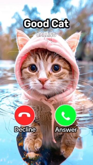 #ringtone #nadaderingtelepon #smartphone #ringtones #music #bgm смотреть онлайн