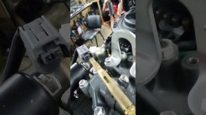 Сузуки дф 40 проблемы бензонасоса.