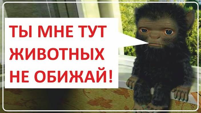 054 Новые истории о домовых смотреть онлайн