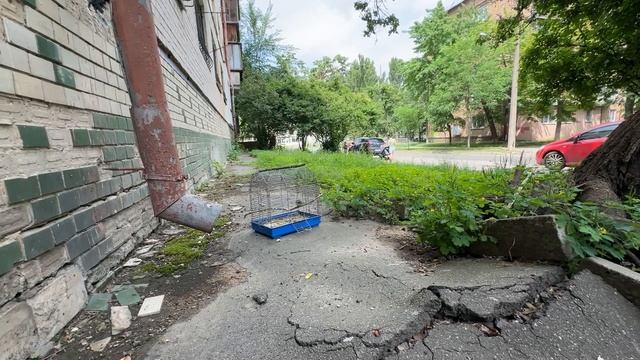 Слёзное прощание. Отпустила птичку синичку. Больно. Кира болеет. Мои проблемы и день гостей. смотреть онлайн