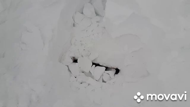 Поисковые работы( т.....а) май2021г. смотреть онлайн
