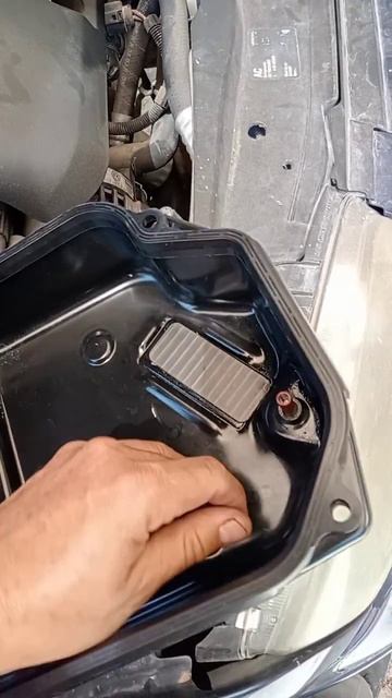 empaque y cedazo de transmisión automática de Jetta 2.0 смотреть онлайн