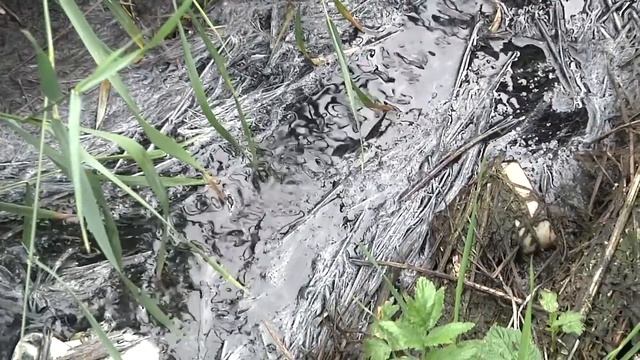 сюжет жалоба запышминская 08 29 09 07 15 смотреть онлайн