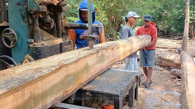 GALIHNYA Sampai Menghitam‼️Kayu Jati Di Rajang, GerGaji Kayu Bendungan смотреть онлайн