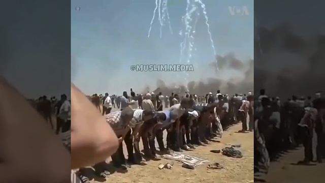 🔥НАМАЗ ВО 😿ВРЕМЯ БОЯ😻 смотреть онлайн