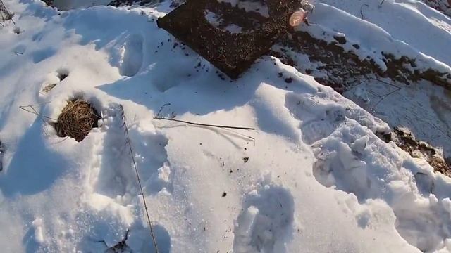 Металлокоп возле скотника смотреть онлайн