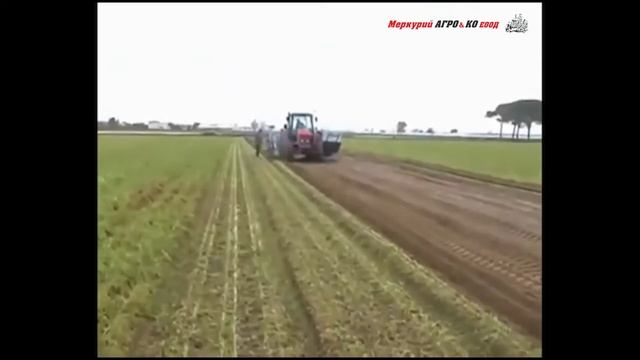 Прикачен комбайн за сьбиране на моркови/лук/праз и чесьн EUROPA P250 смотреть онлайн