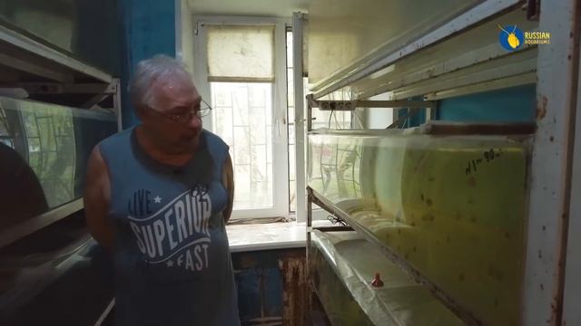 Старая гвардия. Дискусовод Владимир Саная смотреть онлайн