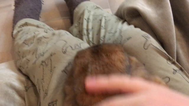 крош и я смотреть онлайн