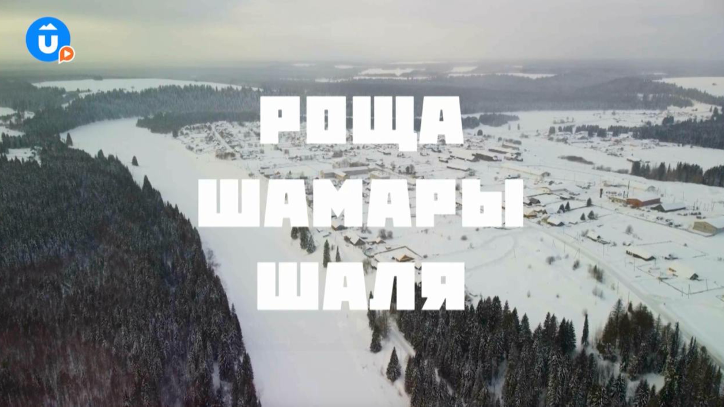 Шаля — «Навигатор Live» смотреть онлайн