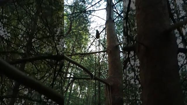 Фили, белки, 6 утра смотреть онлайн