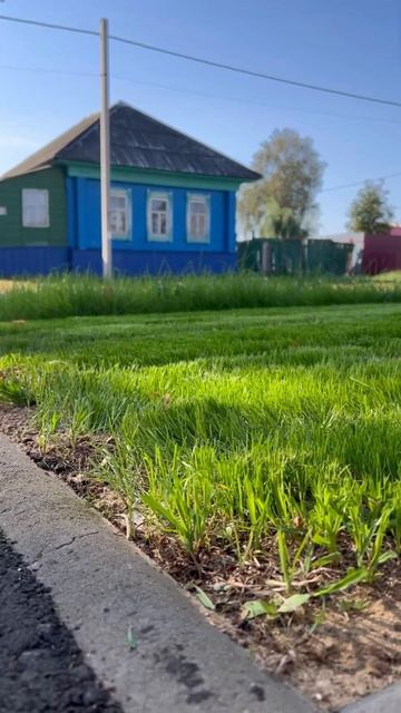 Трава у дома. #свойдом #косить #газонокосилка #траваудома смотреть онлайн