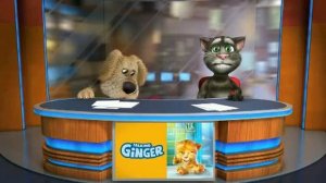 Кот том и собака бен