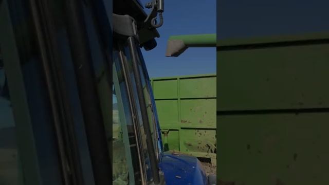 Valtrat194a, Jhon Deere W540i,W540, Jhon Deere135B, уборка пшеницы 2020, VKO, Altai, Kazakhstan 🇰🇿 смотреть онлайн