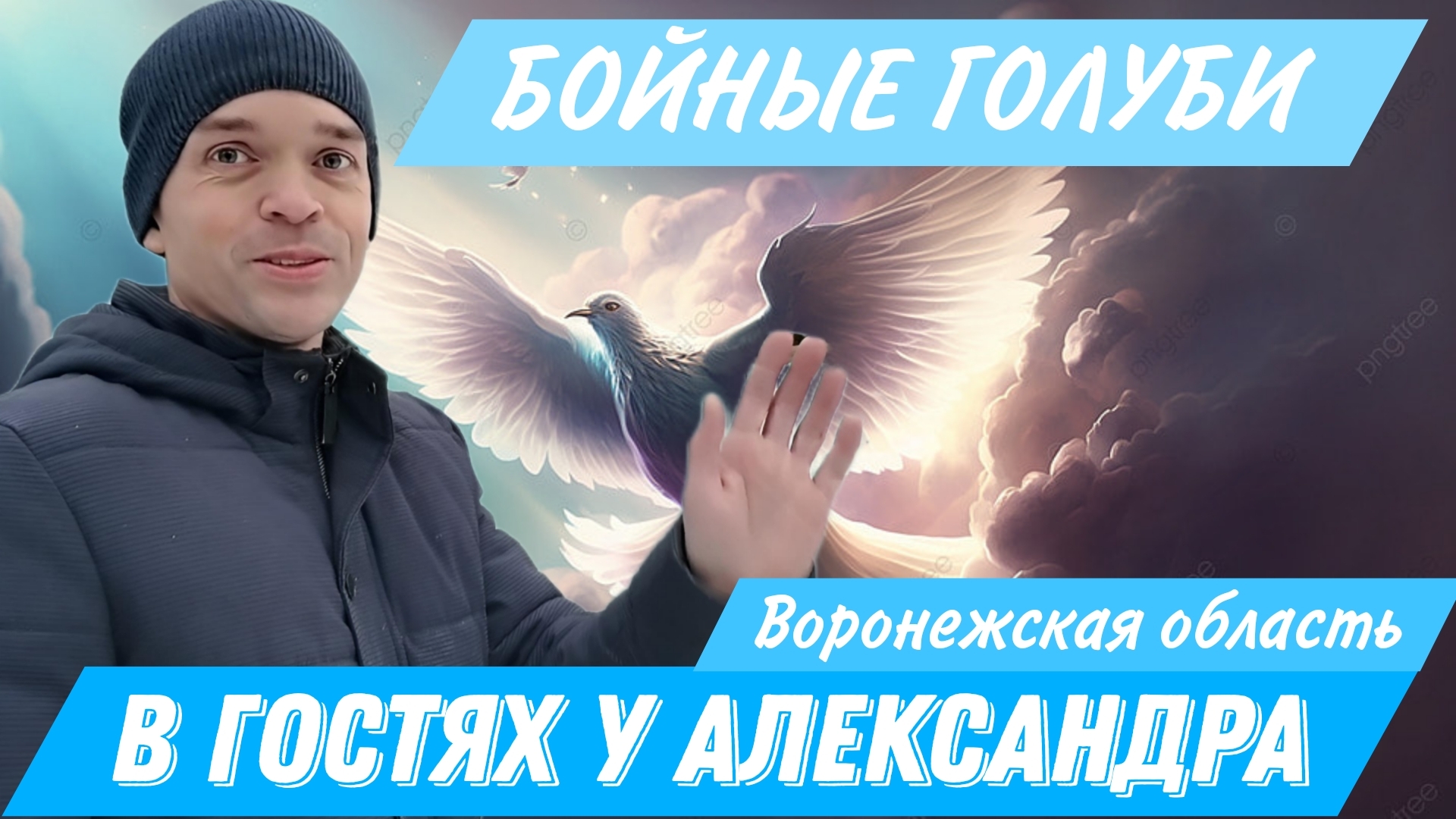 В гостях у Александра. Воронежская область, село Русаново. Разговор о Бойных голубях. Игровые голуби смотреть онлайн