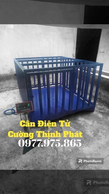 Cân gia súc 500kg, 1 tấn, 2 tấn - CÂN ĐIỆN TỬ CƯỜNG THỊNH PHÁT смотреть онлайн
